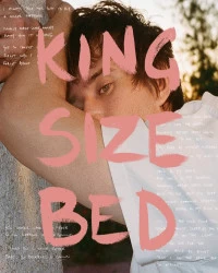 دانلود آهنگ Alec Benjamin-King Size Bed