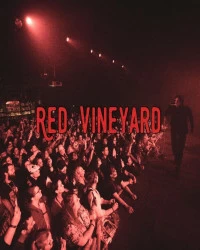 دانلود آهنگ Diggy Graves --Red Vineyard