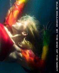 دانلود آهنگ Ellie Goulding-By The End Of The Night