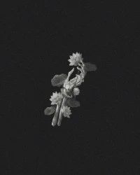 دانلود آهنگ John Michael Howell- JVKE- ZVC- Jake Lawson- John Michael Howell…-A Thousand Years