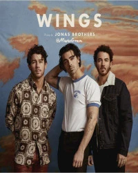 دانلود آهنگ Jonas Brothers-Wings