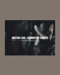 دانلود آهنگ Lana Del Rey --Summertime Sadness X Another Love (Tom Odell)