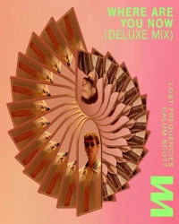 دانلود آهنگ Lost Frequencies - Calum Scott-Where Are You Now (Deluxe Mix)
