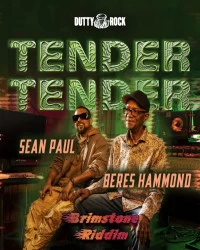 دانلود آهنگ Sean Paul - Beres Hammond-Tender Tender