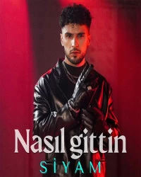 دانلود آهنگ Siyam-Nasıl Gittin