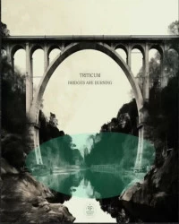 دانلود آهنگ TRITICUM-Bridges Are Burning