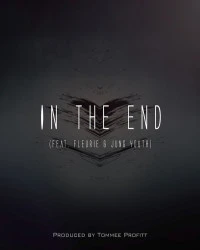 دانلود آهنگ Tommee Profitt-In the End (Ft Fleurie - Jung Youth)