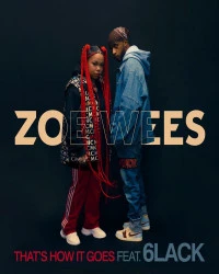 دانلود آهنگ Zoe Wees-That’s How It Goes
